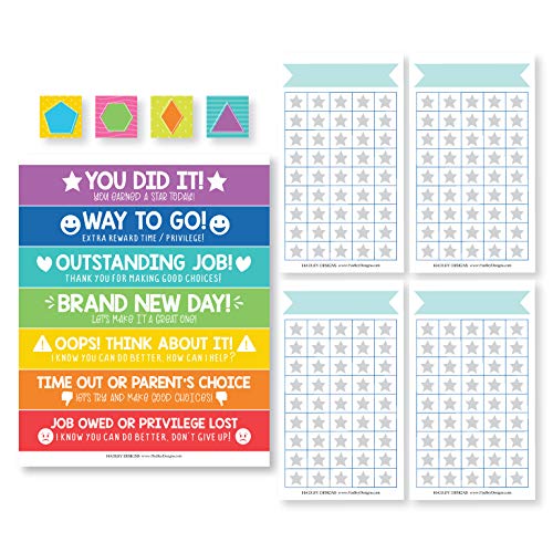 Magnetic Behavior Kit