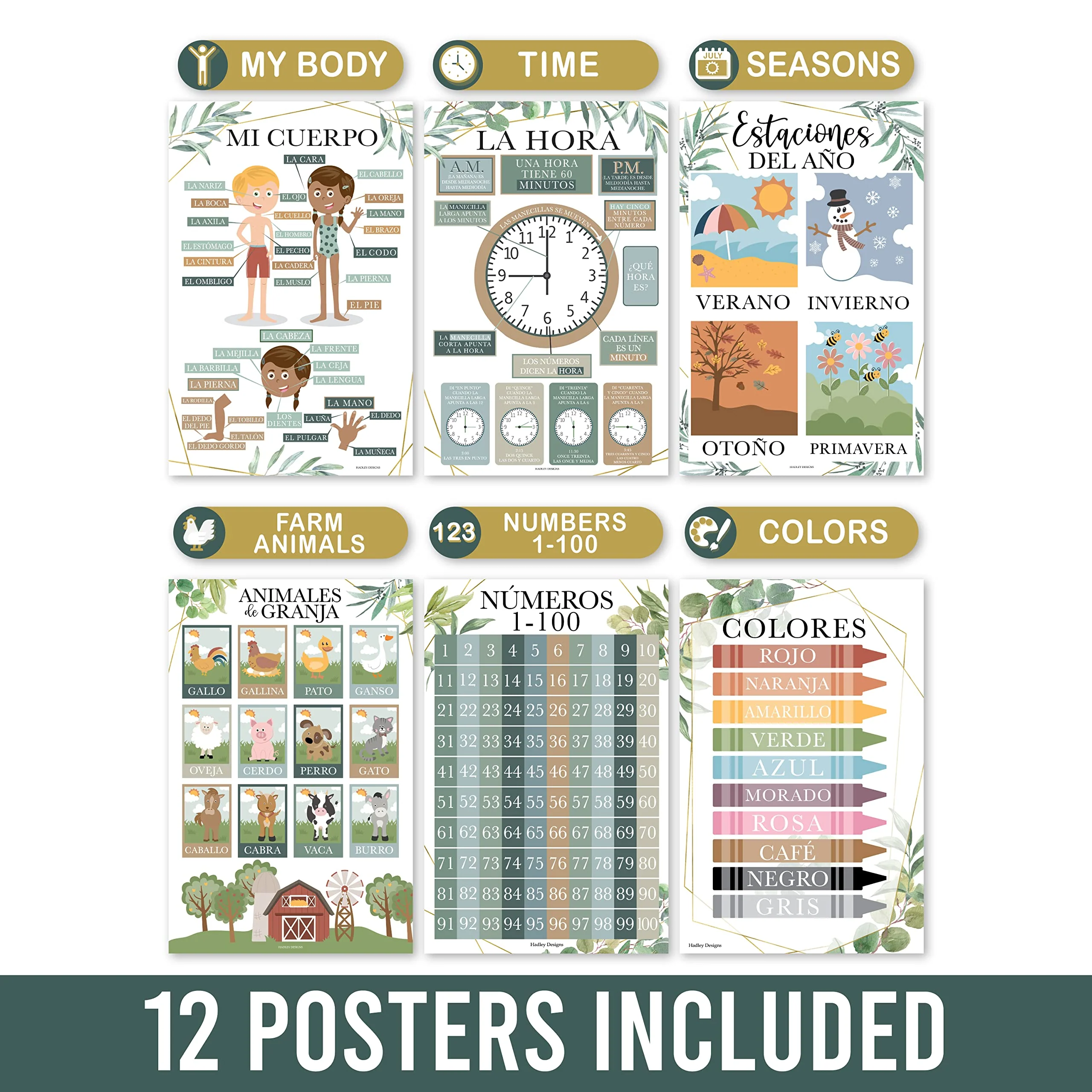 Hadley Designs Spanish Classroom Decorations - 12 Spanish Posters for Classroom Elementary, Abecedario para Niños en Español, Laminated Greenery Bilingual Educational Posters 11x17 - Image 5